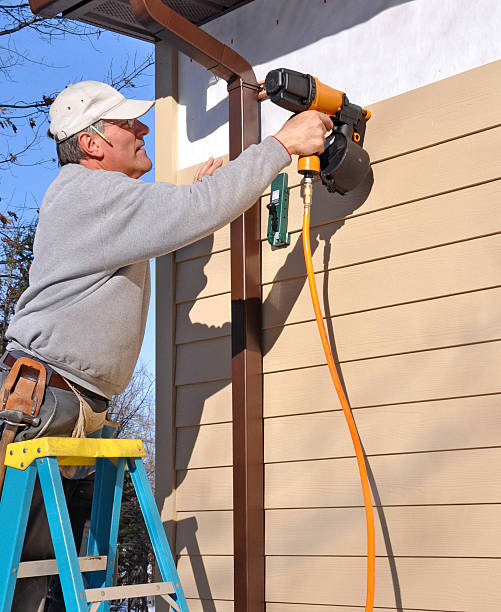 Best Steel Siding Installation  in West Columbia, TX