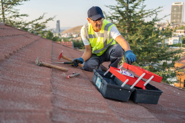 Best Insulated Siding Installation  in West Columbia, TX